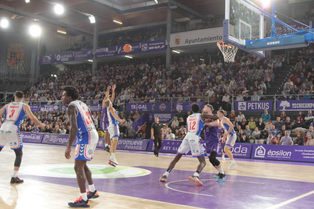 Jugadores de baloncesto en un partido entre Palencia y Alicante