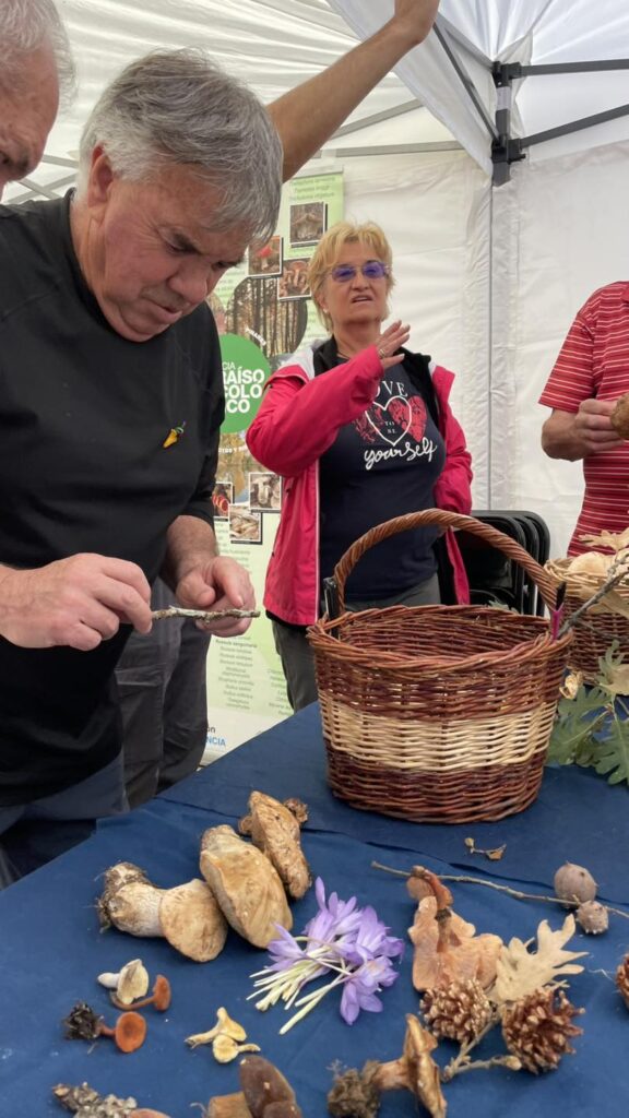 Feria de la Alubia 2025 - Fotos: Ayuntamiento de Saldaña