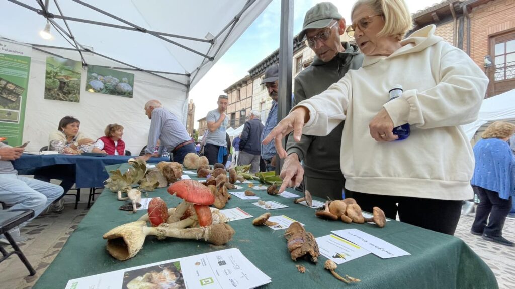 Feria de la Alubia 2025 - Fotos: Ayuntamiento de Saldaña