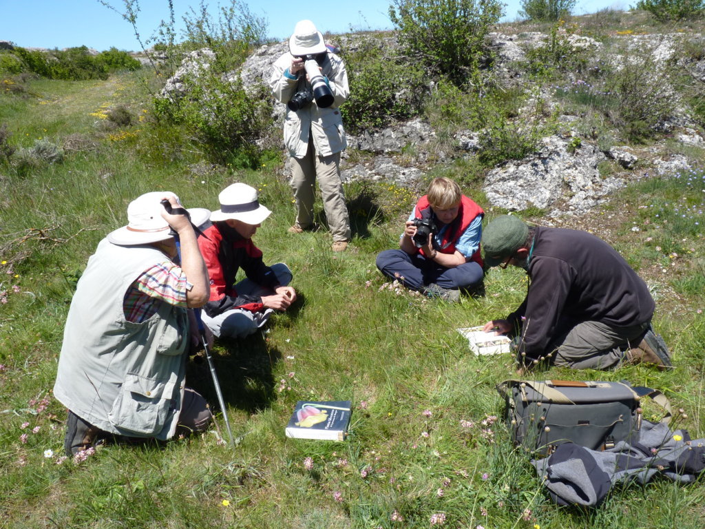 Grupo de botánicos en las Tuerces