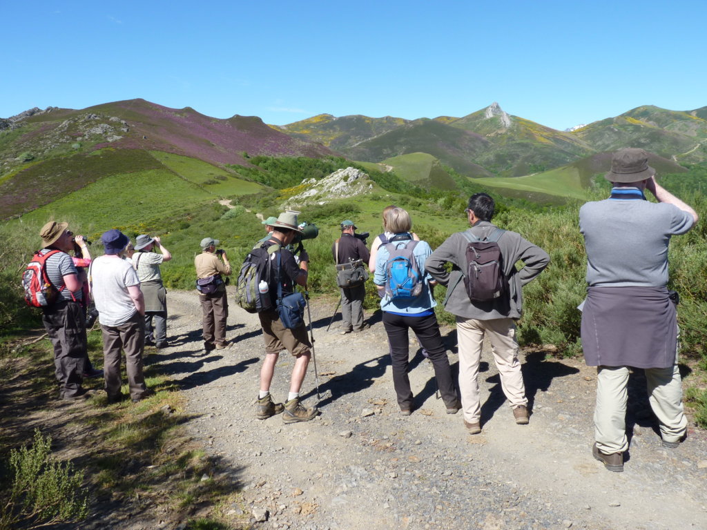 Grupo de Británicos haciendo observación