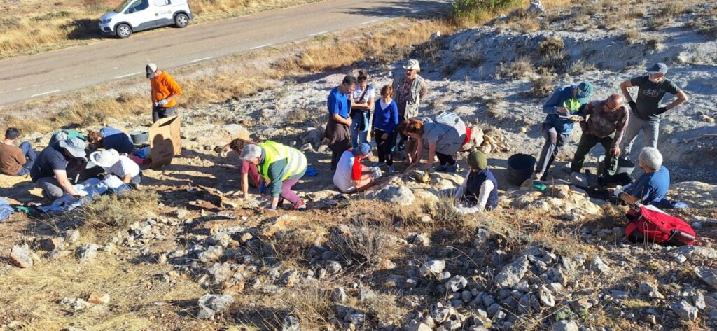 Grupo de personas excavando en un yacimiento paleontológico en Peña Amaya