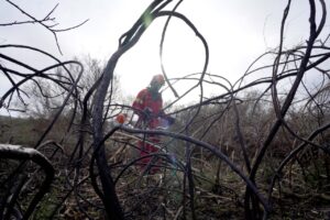 Trabajador limpiando área afectada por incendios forestales