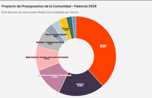 proyecto presupuestos palencia