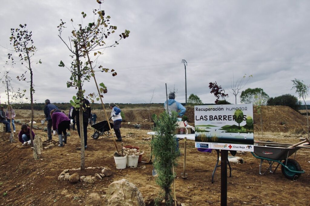 Voluntarios trabajando en la recuperación del humedal Las Barreras.