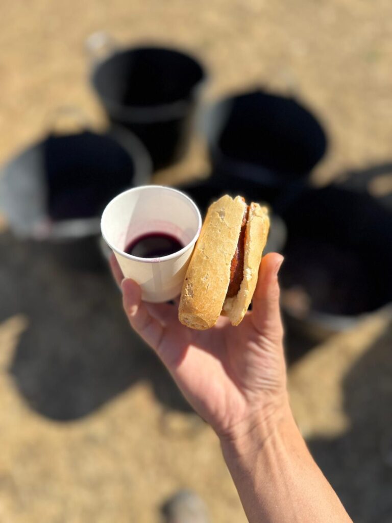 revenga de campos jornada vino (1)