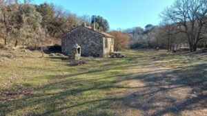 Excursionistas en el monte de Villamediana y Torquemada