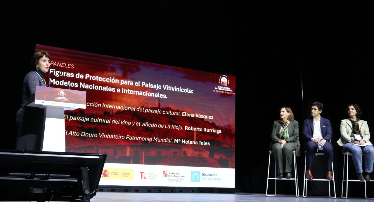 Ponentes discutiendo sobre el paisaje vitivinícola en el congreso.