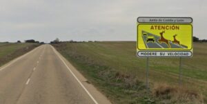 Señal de advertencia sobre animales en la carretera en Palencia
