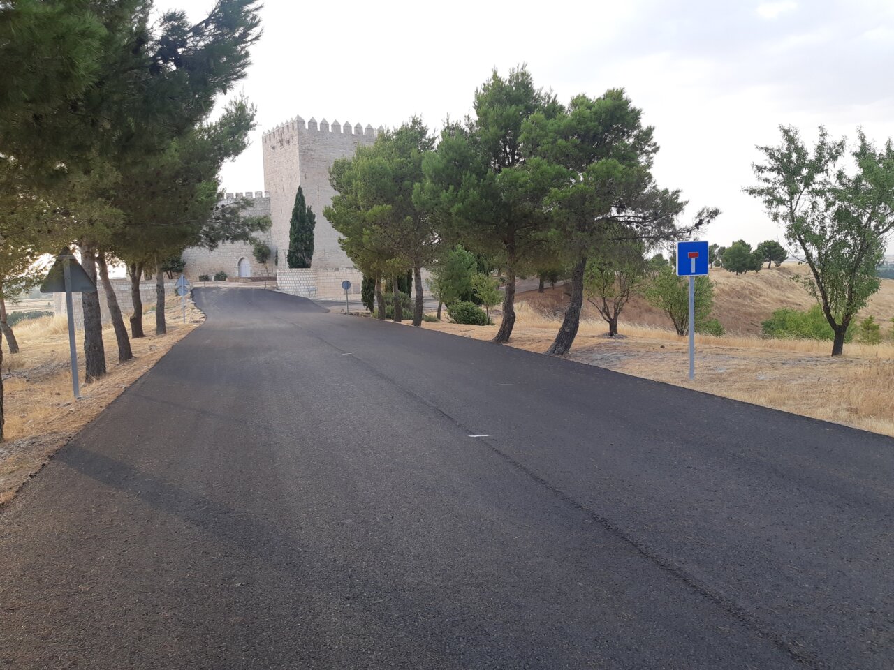 Camino asfaltado rodeado de árboles que conduce a un castillo en Palencia.