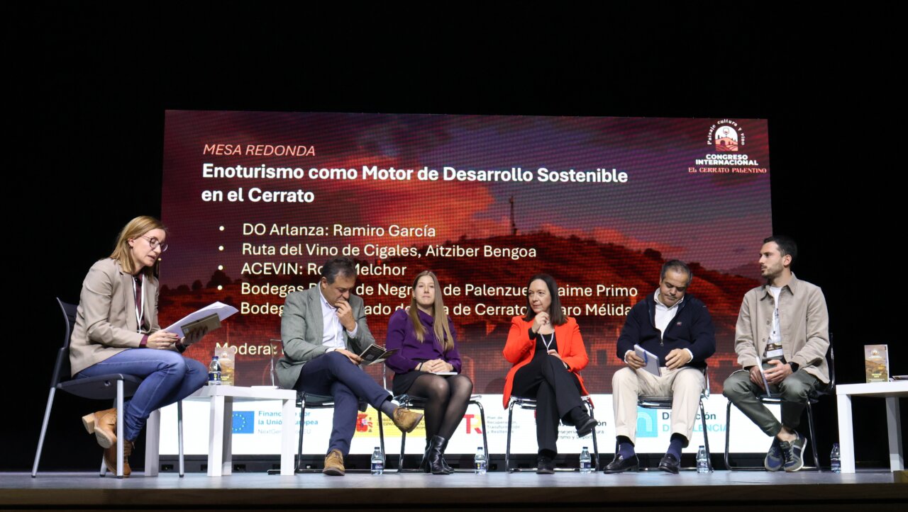 Mesa redonda sobre enoturismo en el Congreso Internacional del Cerrato Palentino