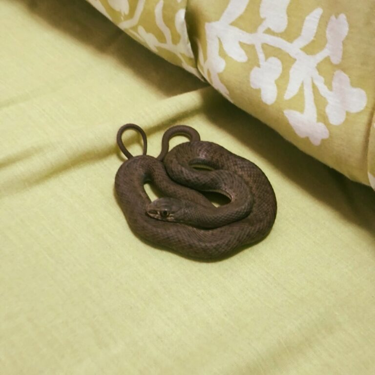 Culebra enredada entre las sábanas en una cama