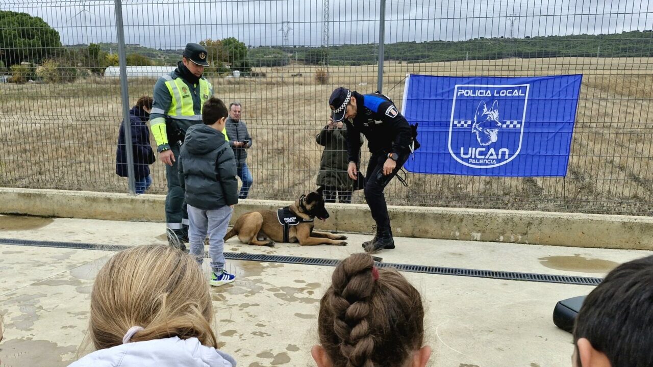 Niños observando una demostración de la Unidad Canina de la Policía Local de Palencia
