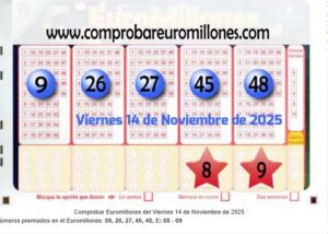 Boleto de Euromillones con números ganadores del sorteo