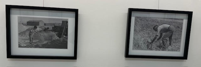 Fotografías enmarcadas de la exposición sobre Dueñas