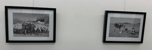 Fotografías enmarcadas de escenas rurales en Dueñas