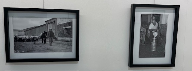 Fotografías enmarcadas de la exposición sobre Dueñas con escenas históricas.