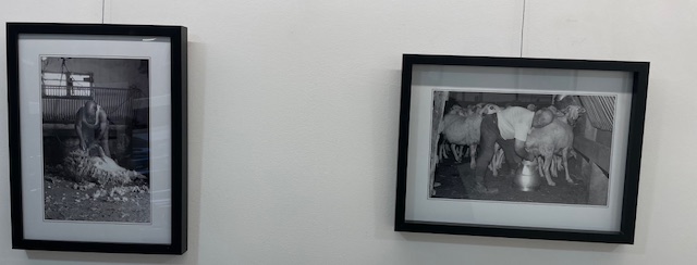Fotografías enmarcadas de labores agrarias en una exposición