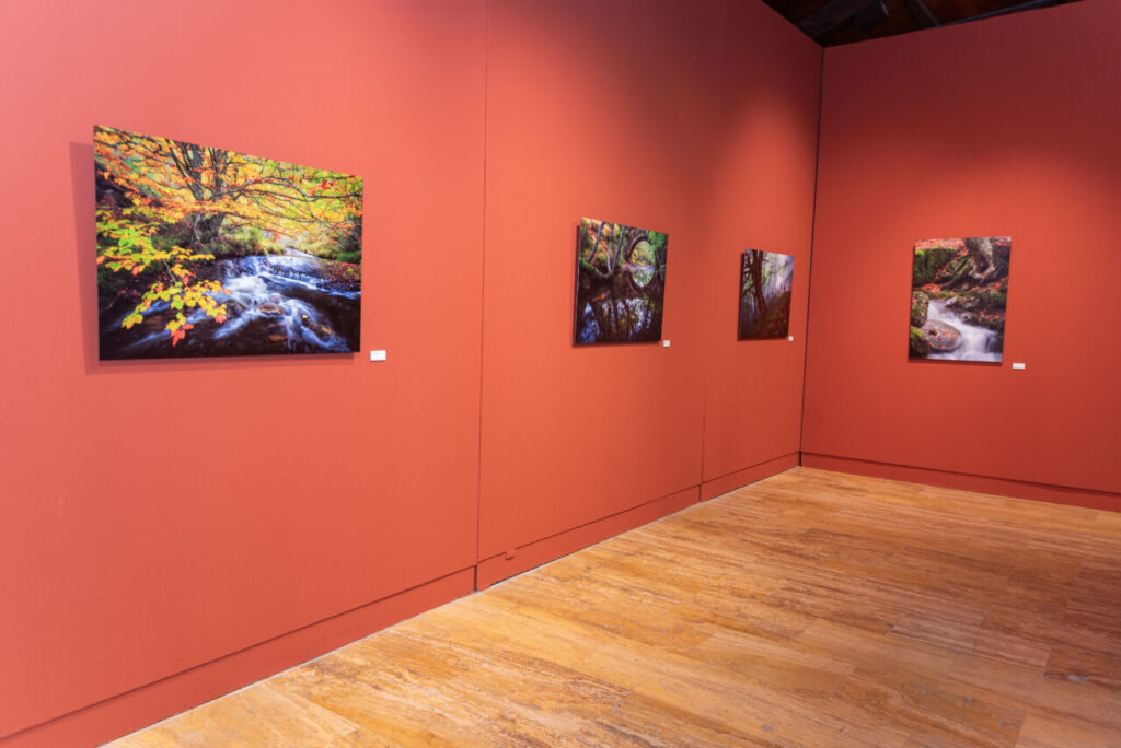 Fotografía de la exposición Montaña Palentina en Jaén con imágenes paisajísticas.