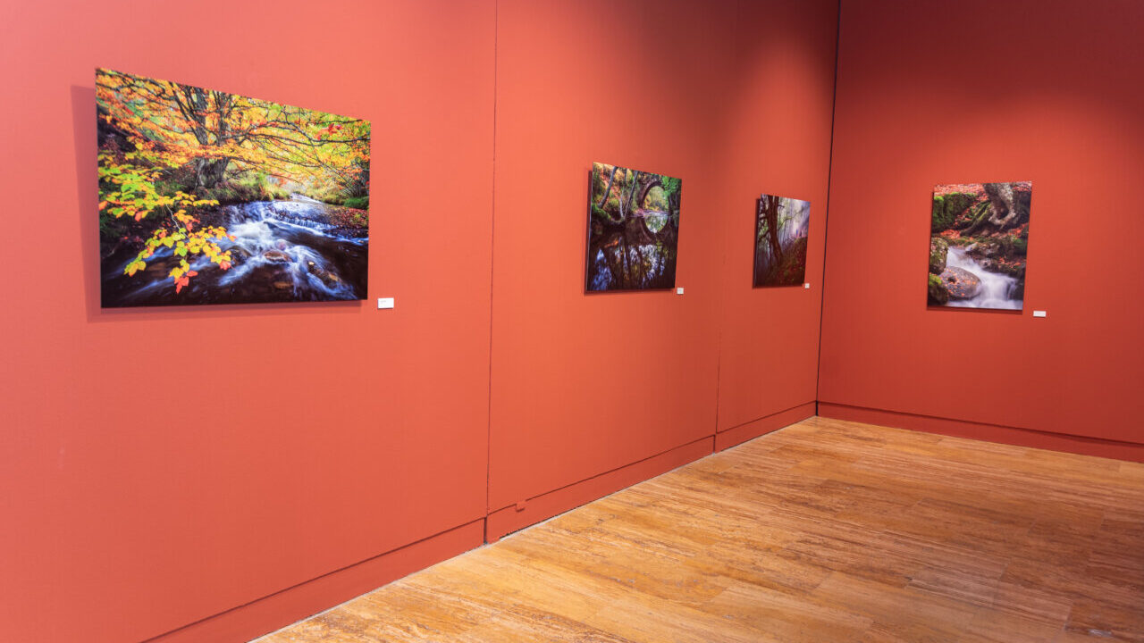 Fotografía de la exposición Montaña Palentina en Jaén con imágenes paisajísticas.