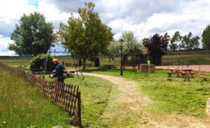 Trabajador realizando tareas de jardinería en un parque municipal