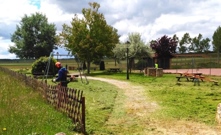Trabajador realizando tareas de jardinería en un parque municipal