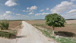 Camino rural en Dehesa de Romanos con árboles y campos abiertos