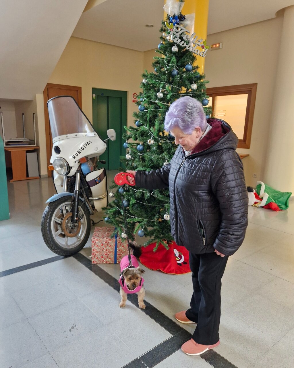 Mujer sosteniendo a Luna, una perrita Yorkshire, junto a un árbol de Navidad.