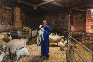 Hombre sosteniendo un lechazo en una granja de Castilla y León