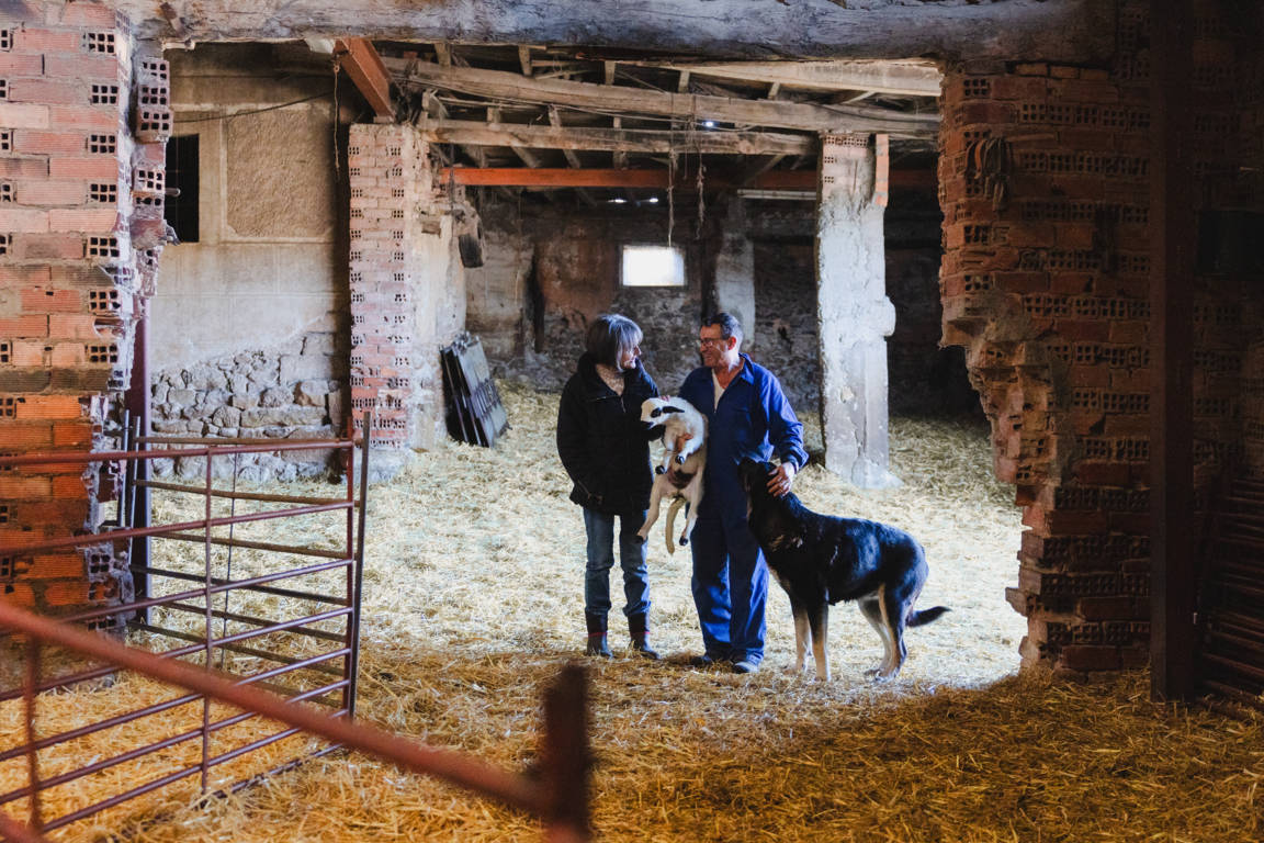 Dos personas en un establo sosteniendo un lechazo y un perro