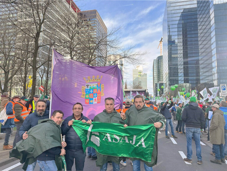 Directivos de ASAJA Palencia en una concentración en Bruselas con banderas.