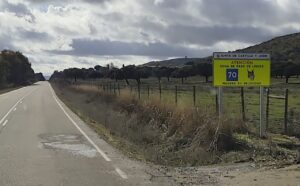 Señal de advertencia de linces en carretera del Cerrato