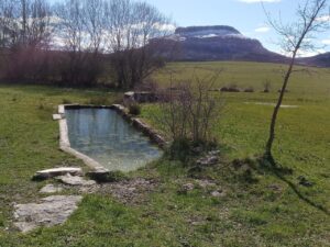 Charca en el Geoparque Las Loras rodeada de vegetación