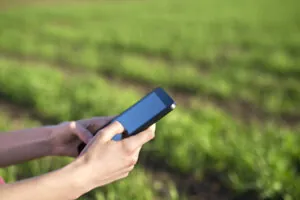 Persona usando un teléfono móvil en un campo de cultivo