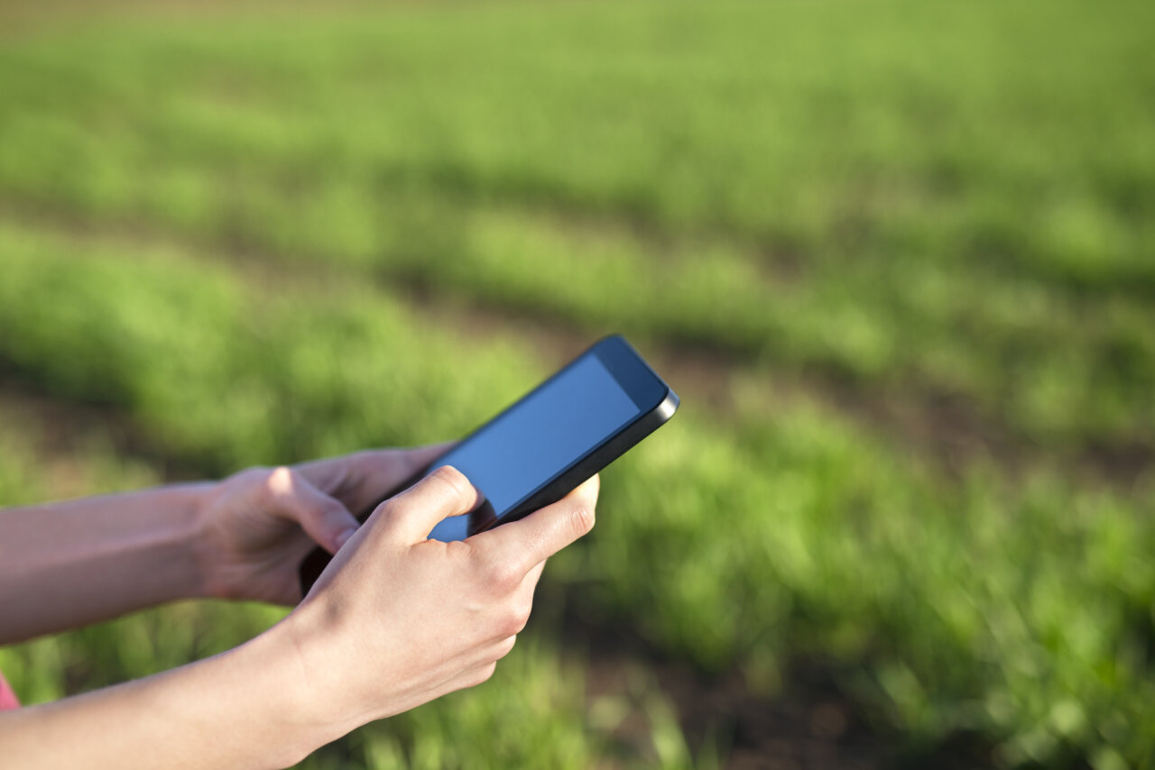 Persona usando un teléfono móvil en un campo de cultivo