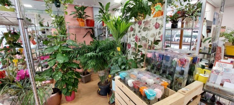 Interior de la floristería Flor de Lis con diversas plantas y flores