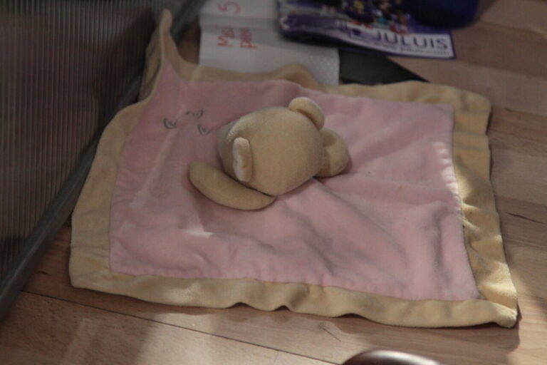 Un juguete de peluche sobre una manta rosa en un suelo de madera