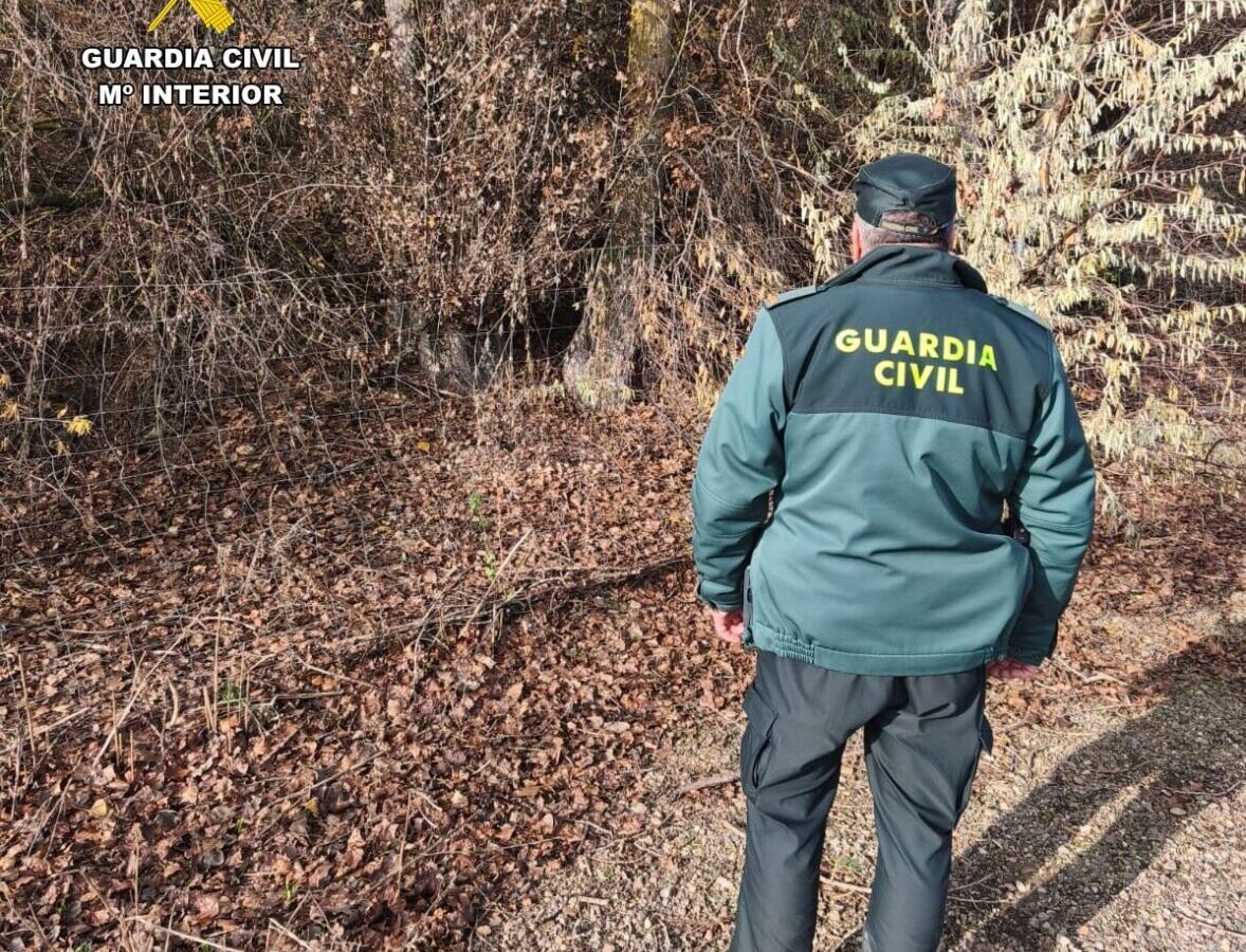 Agente de la Guardia Civil en un bosque durante la búsqueda de un desaparecido.