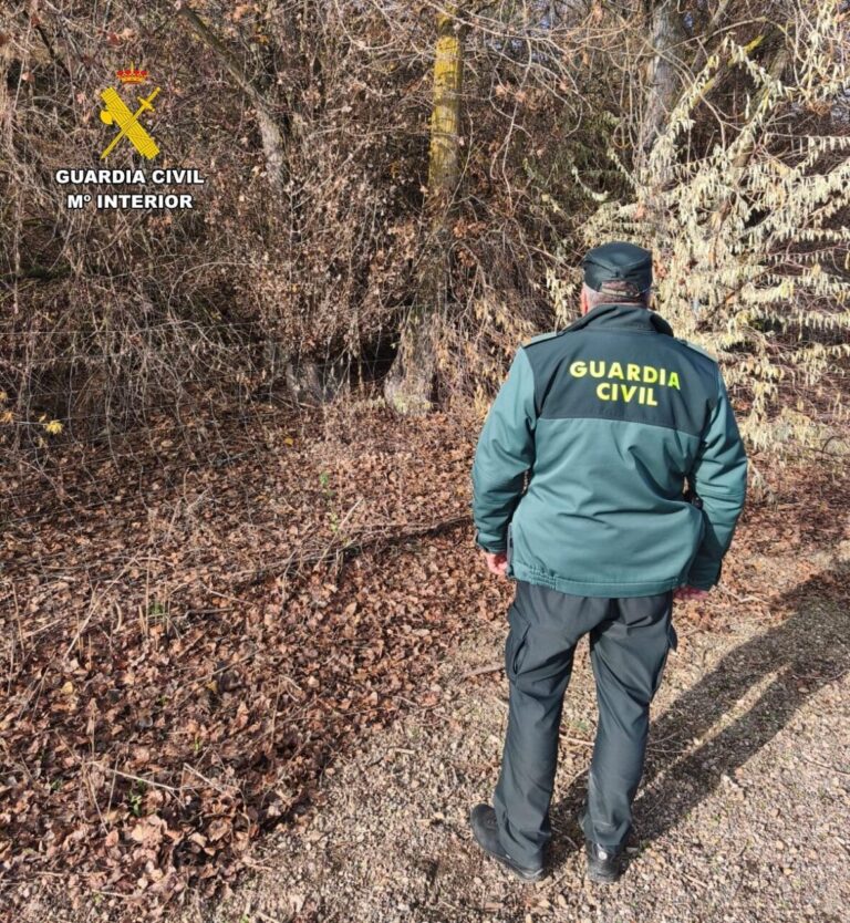 Agente de la Guardia Civil en un bosque durante la búsqueda de un desaparecido.