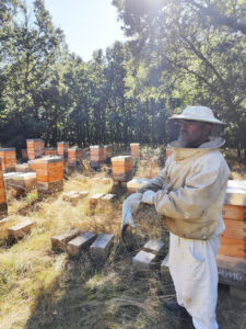 Apicultor en campo con colmenas de Miel El Camino