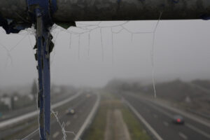 Vista de una carretera en Palencia con niebla y telarañas