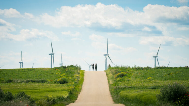 Personas caminando por un camino rodeado de aerogeneradores en un parque eólico.