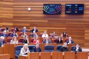 Sesión plenaria en las Cortes de Castilla y León con varios representantes
