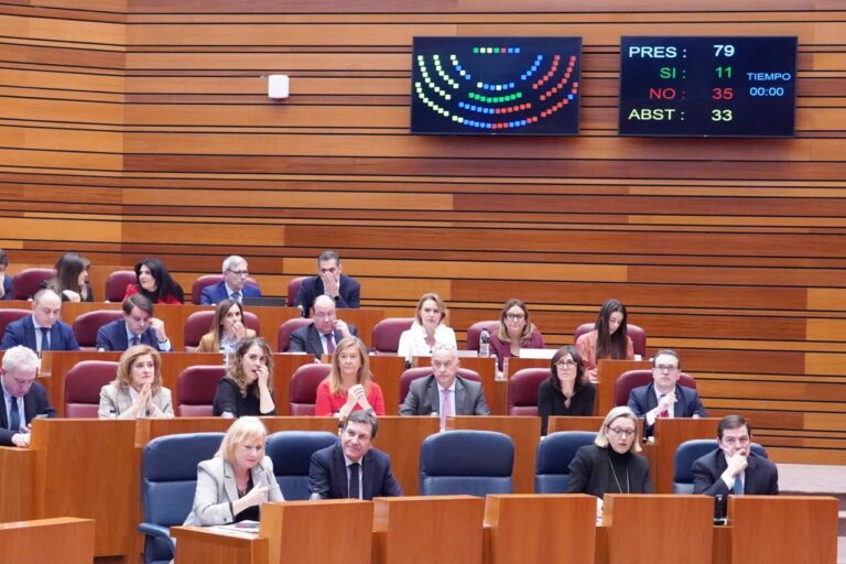 Sesión plenaria en las Cortes de Castilla y León con varios representantes