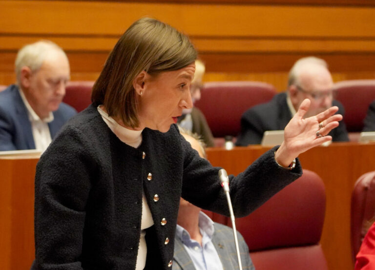 La procuradora del PSOE Laura Pelegrina durante un pleno en las Cortes de Castilla y León.