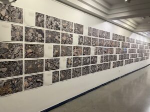 Exposición de fotografías sobre la degradación del paisaje en Fabero