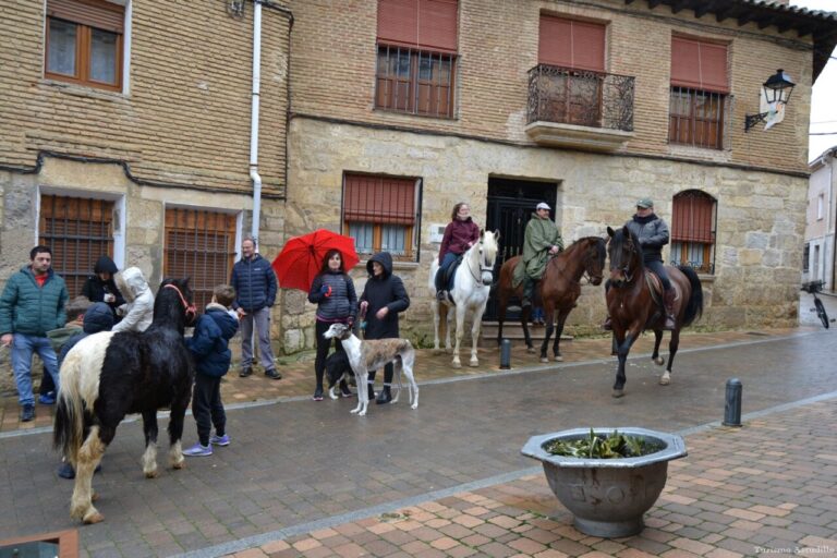 Celebración de San Antón con animales en Astudillo