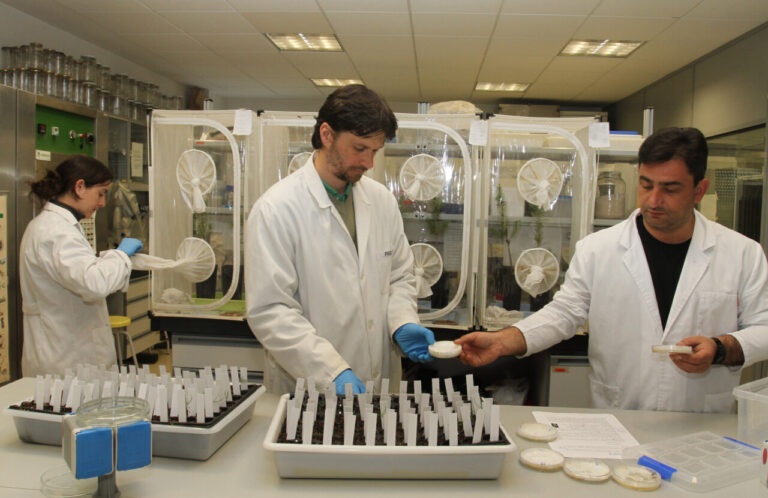 Investigadores trabajando en laboratorio de Ingenierías Agrarias en Palencia