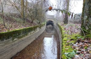 Vista del canal norte de La Nava rodeado de vegetación