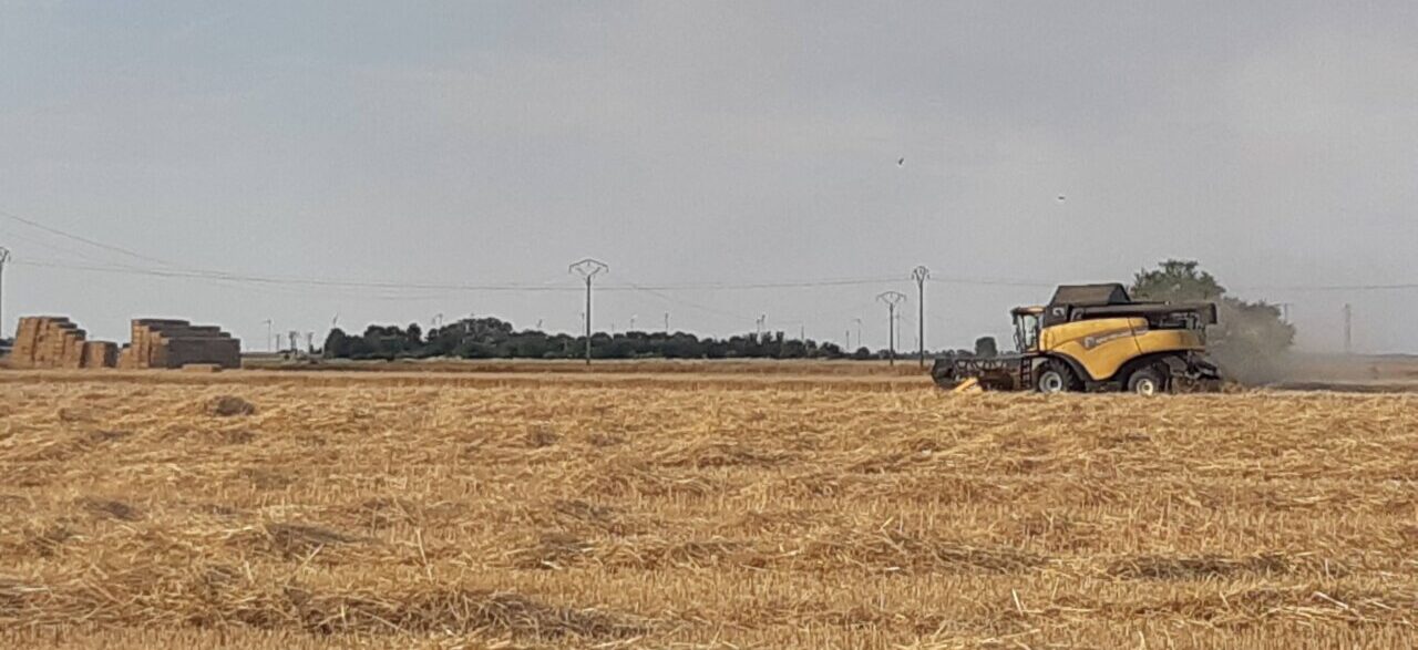 Tractor cosechando en un campo de cereal en Palencia